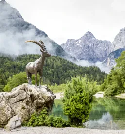 Agrarna skupnost Podkoren