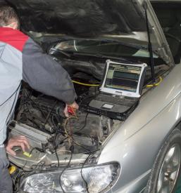 Ottimo gommista Aidussina, Goriška