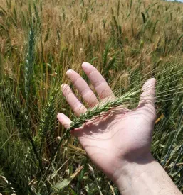 Storitve težke kmetijske mehanizacije Dolenjska