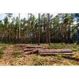 AS Dol - Otlica, a.s.