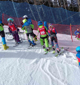 Šola smučanja Postojna