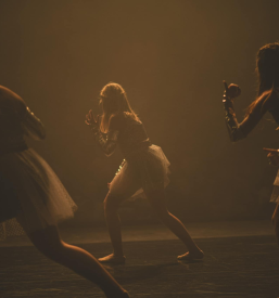 Ugodna plesna šola Savinjska