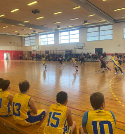 Rekreacija Velike Lašče