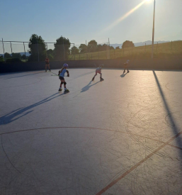 Šola rolanja Postojna