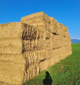 servis težke kmetijske mehanizacije Dolenjska