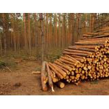 TKM zelišča d.o.o.