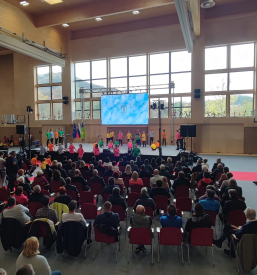 Stropi za telovadnice