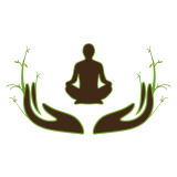 Element zdravja, Rok Jeras s.p.