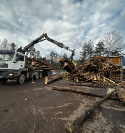 Poceni les za ostrešja Štajerska