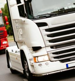 Domači prevoz blaga cena