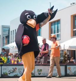 Organizacija športnih  dogodkov Slovenija