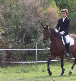 Treniranje jahanja Izola