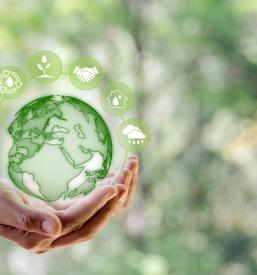 Proizvodnja belega vodika v Sloveniji