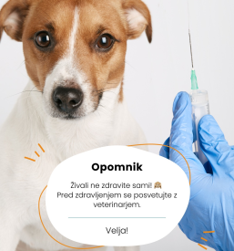 Zdravljenje psov Osrednja Slovenija