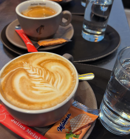 Malica Slovenske Konjice