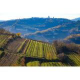 VitaVinum, Vaneja Steyer, s.p.