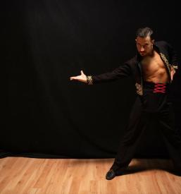 Najboljša plesna šola Goriška, Slovenija