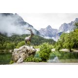 Apartmaji Pr' Rebnko