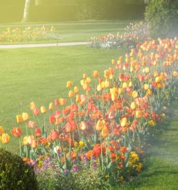 Urejanje okolice Gorenjska