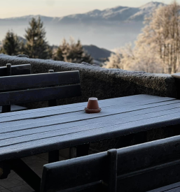 Obisk Planinske koče na Mrzlici