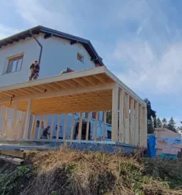 Predelava lesa na Štajerskem