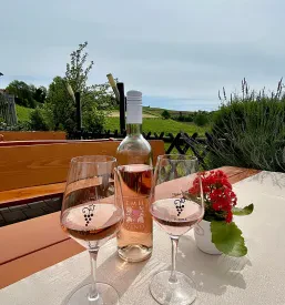 Prostor za zabave turistična kmetija