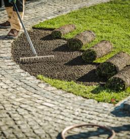 Urejanje in vzdrževanje zelenic