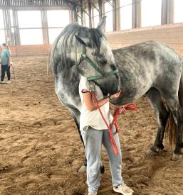 Jahalna šola Gorenjska, Osrednja Slovenija