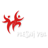 Plesni val, d.o.o.