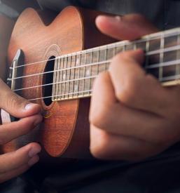 Učenje igranja kitare Kranj, Gorenjska