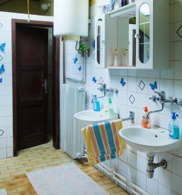 Udoben apartma pri Kočevju