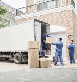 Hitri kombi prevozi Savinjska