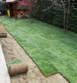 Zasaditev trave Ljubljana