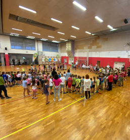 Ekipni športi Velike Lašče