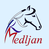 Konjeniški klub Medljan