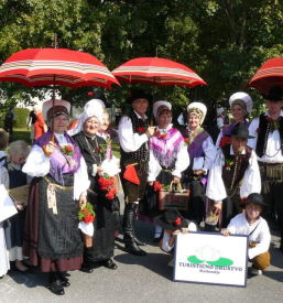 Folklorna skupina Radomlje