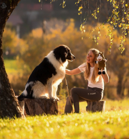 Terapija s konji Sodražica