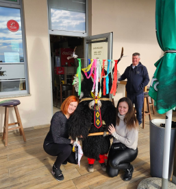 Zabave v baru Pomurje