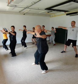 Treningi Taijiquan