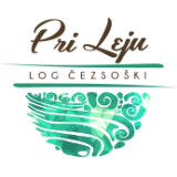 Danica Drnovšek - Sobodajalka