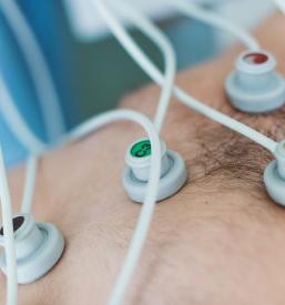 Medicina dela Štajerska