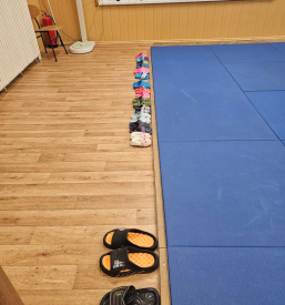 Vpis na judo Jesenice