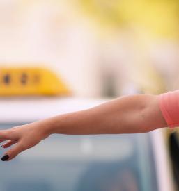 Ugoden taxi prevoz Sežana