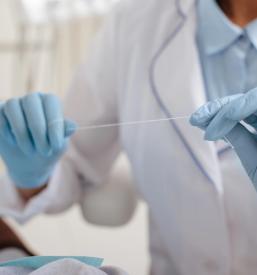 Zobni kamen Ruše, Maribor