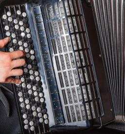 Glasbena šola harmonika Dolenjska