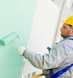 Slikopleskar Bela krajina