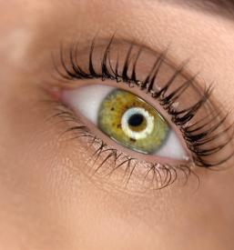 Ljubljana frizerski salon