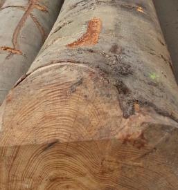 Prodaja rezanega lesa