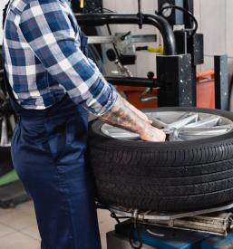 Skladiščenje in prodaja gum Nova Gorica, Goriška