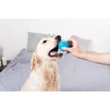 Ebbyland, Nataša Mihurko s.p.